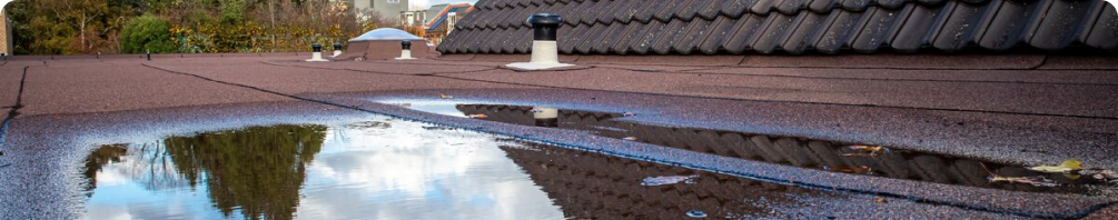 Tejados planos con acumulación de agua.